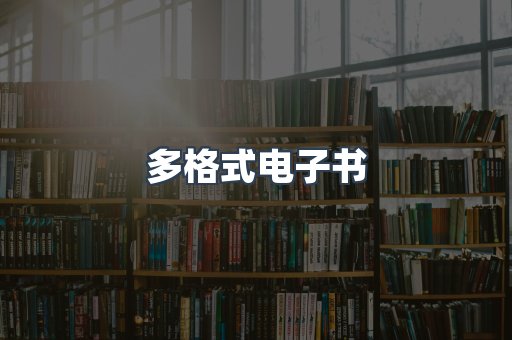 海外电子书